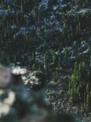 Becoming a Farm Girl