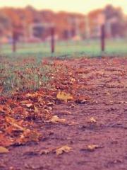 Becoming a Farm Girl