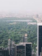 Mr. Gu, your wife is