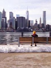 Mr. Gu, your wife is