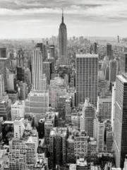 Rong Zhao, male, Nin